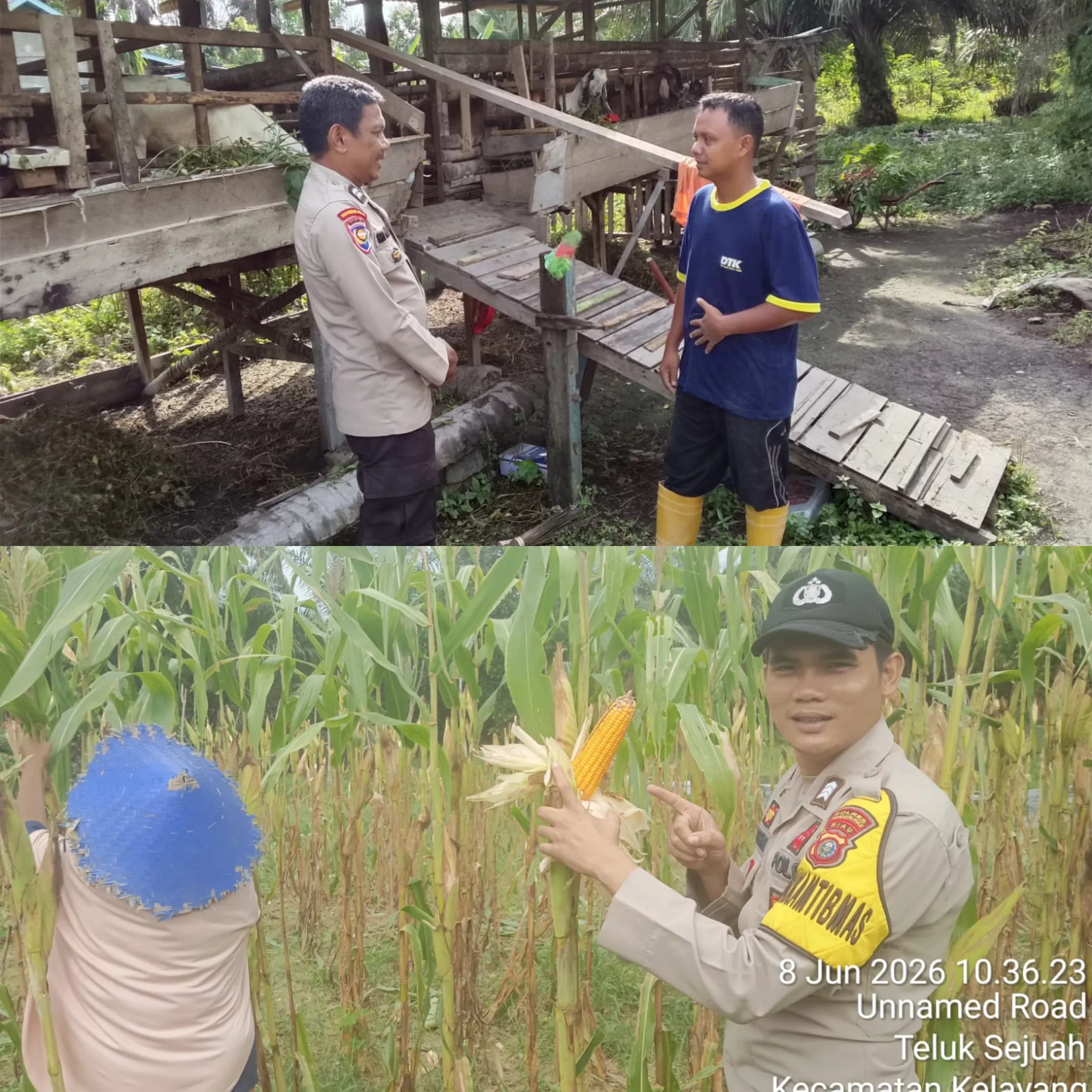 Demi Ketahanan Pangan Nasional, Ini Kegiatan Para Polisi Di Wilayah Hukum Polres Inhu