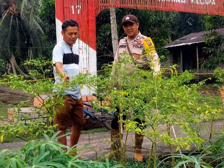 Bhabinkamtibmas Teluk Belengkong Sambangi Kebun Cabai Warga, Wujud Nyata Dukungan Program Asta Cita Ketahanan Pangan Nasional