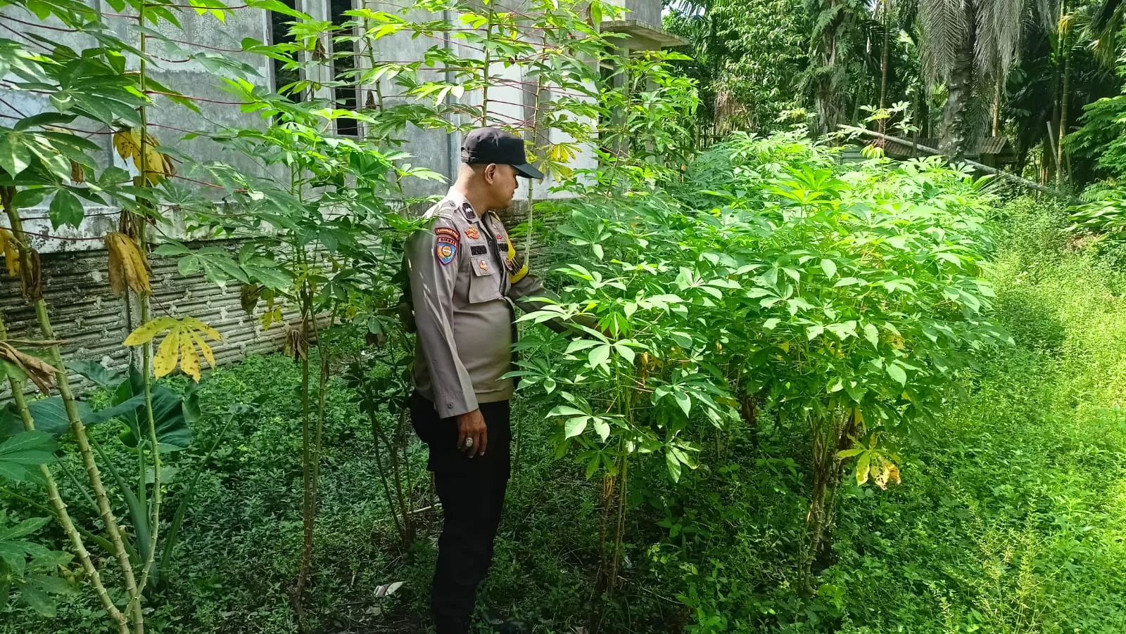  Warga Desa Bandar Padang Diajak Kembangkan Tanaman Pangan di Lahan Rumah