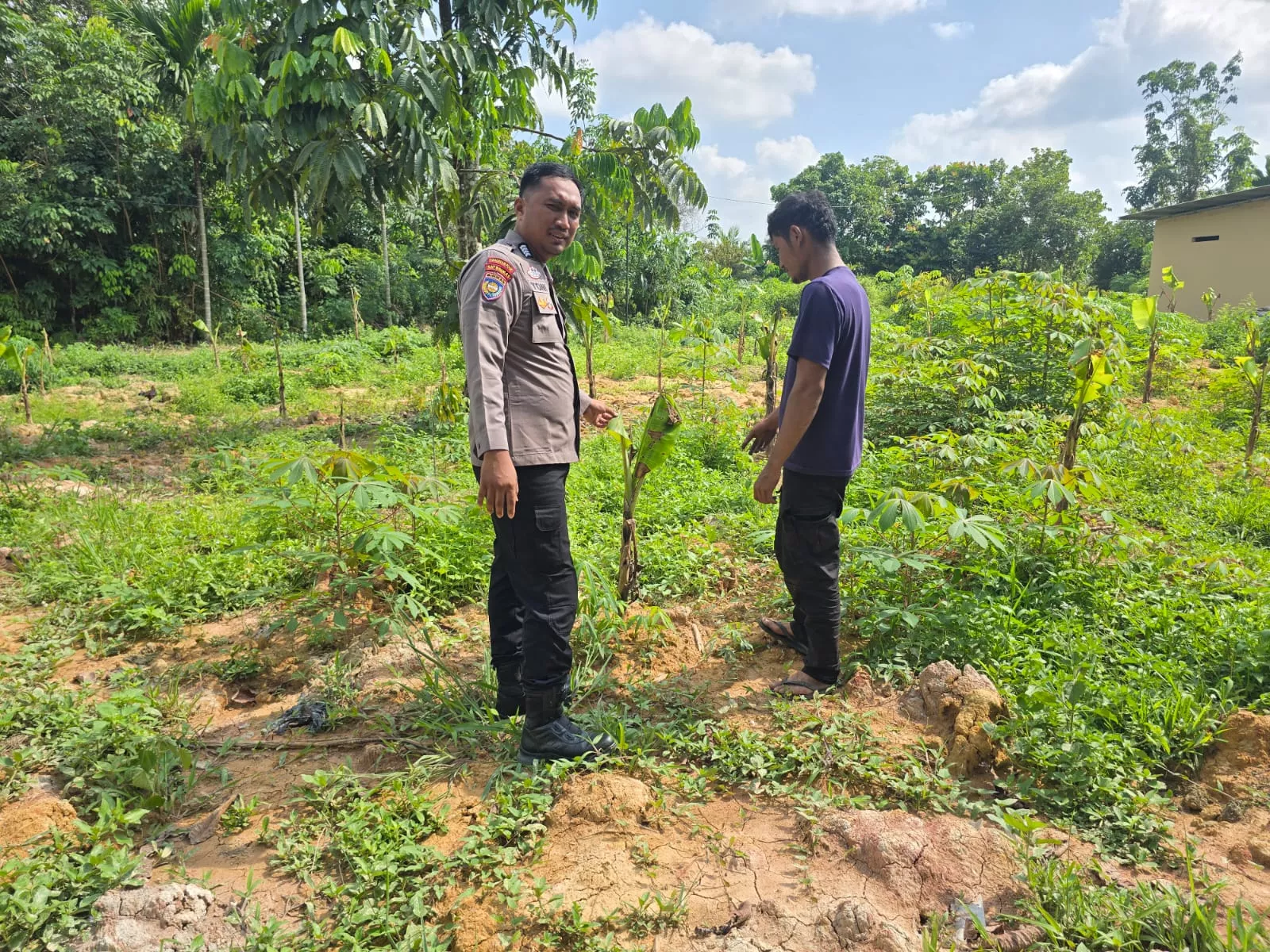  Dari Halaman Rumah ke Ketahanan Nasional, Polisi Ajak Warga Tanam Pisang