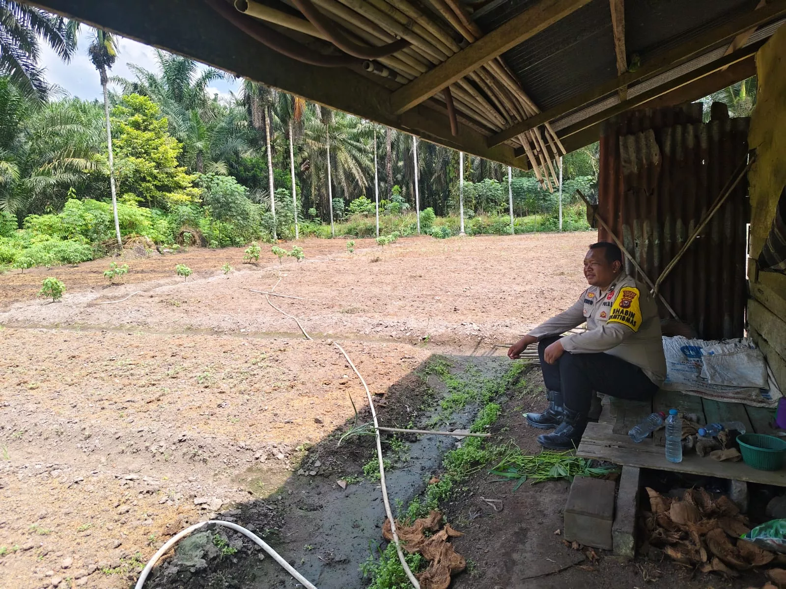  Sambang Pertanian, Bhabinkamtibmas Motivasi Warga Budidayakan Kangkung Darat