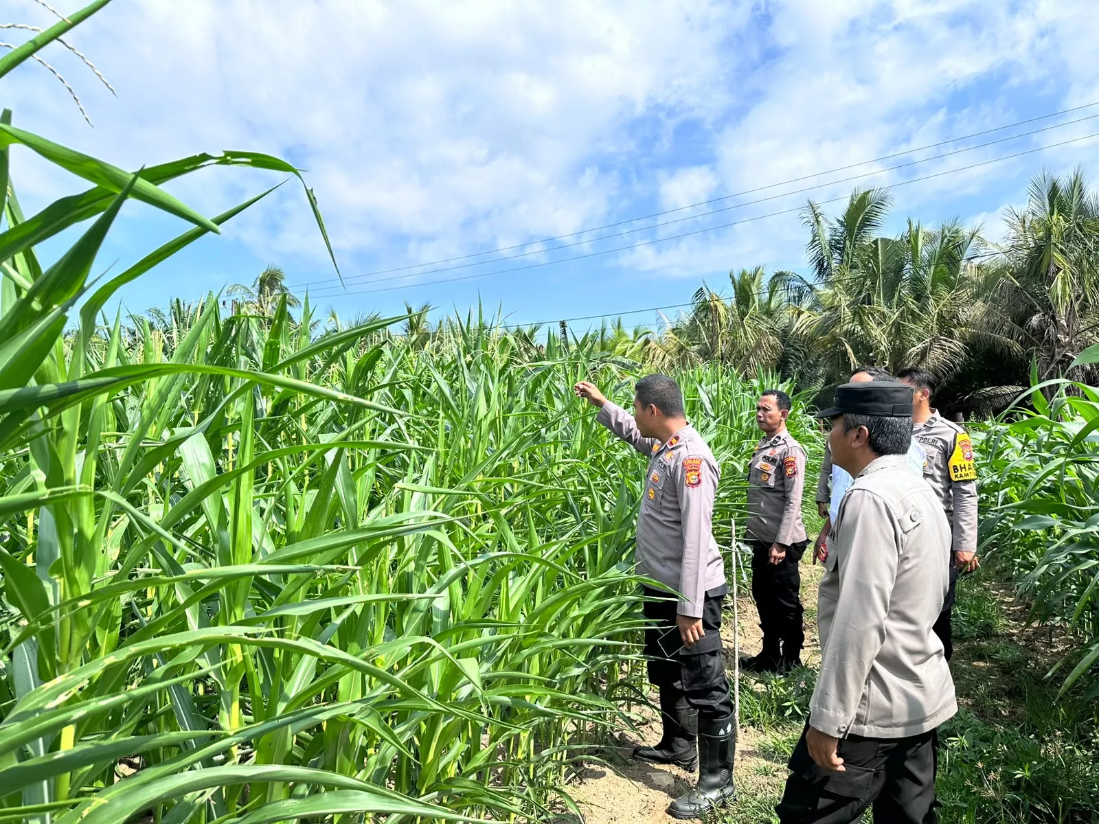 Polsek Kuantan Mudik Cek Kesiapan Lahan Jagung di Desa Pulau Rumput, Dukung Program Swasembada Pangan 2026