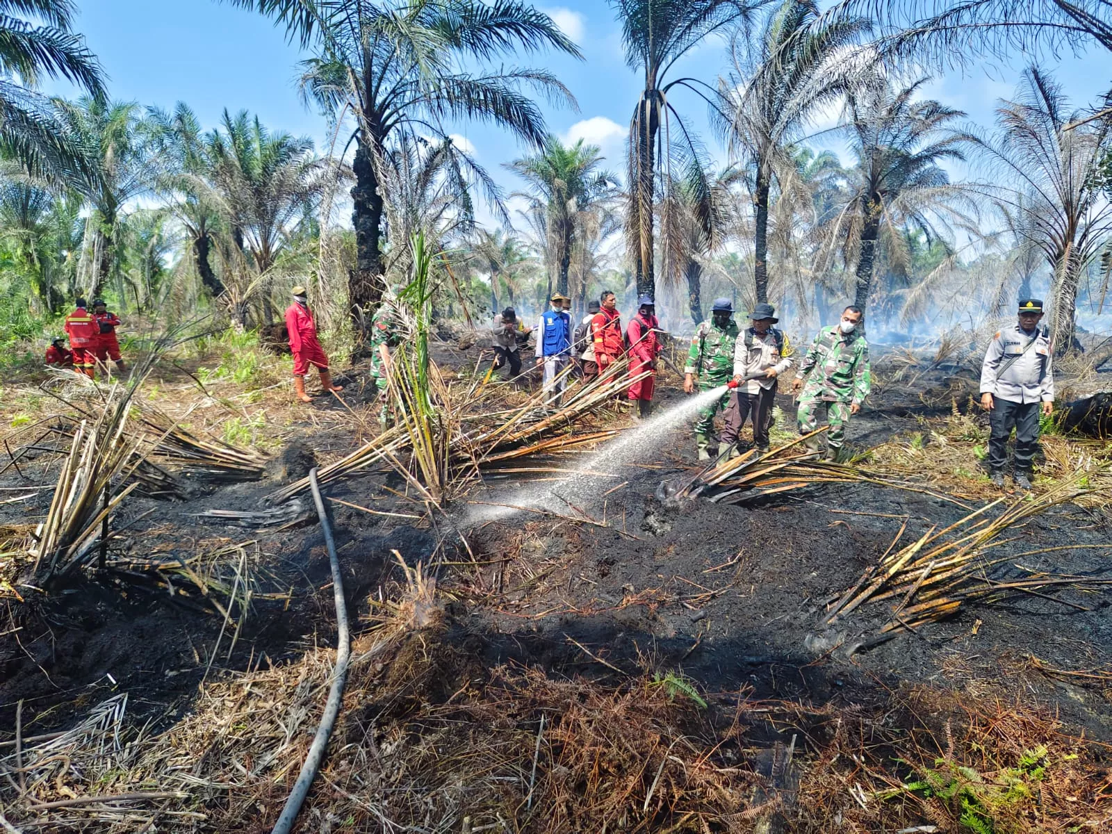 Api Masih Berasap, Tim Gabungan Terus Berjibaku Padamkan Karhutla di Payarumbai