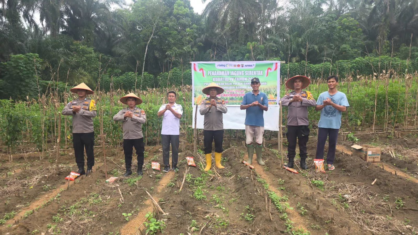 Polsek Bangko Pusako Tanam Jagung Bersama Warga, Tegaskan Ketahanan Pangan Kesejahteraan Bersama