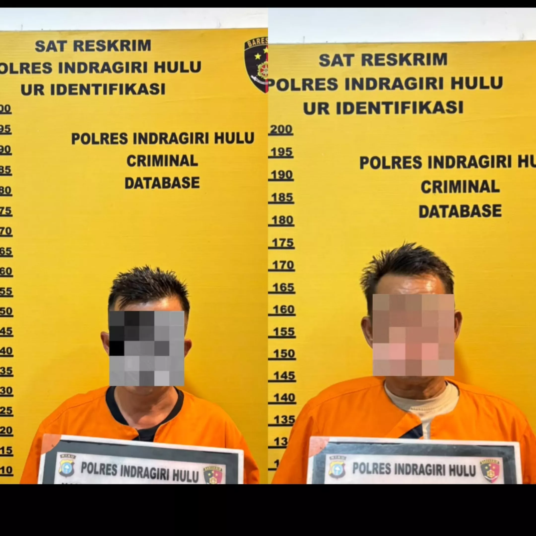 Polres Indragiri Hulu Tetapkan Dua Tersangka Kasus Dugaan Pembukaan Lahan di Kawasan Hutan Konsesi PT CSSS