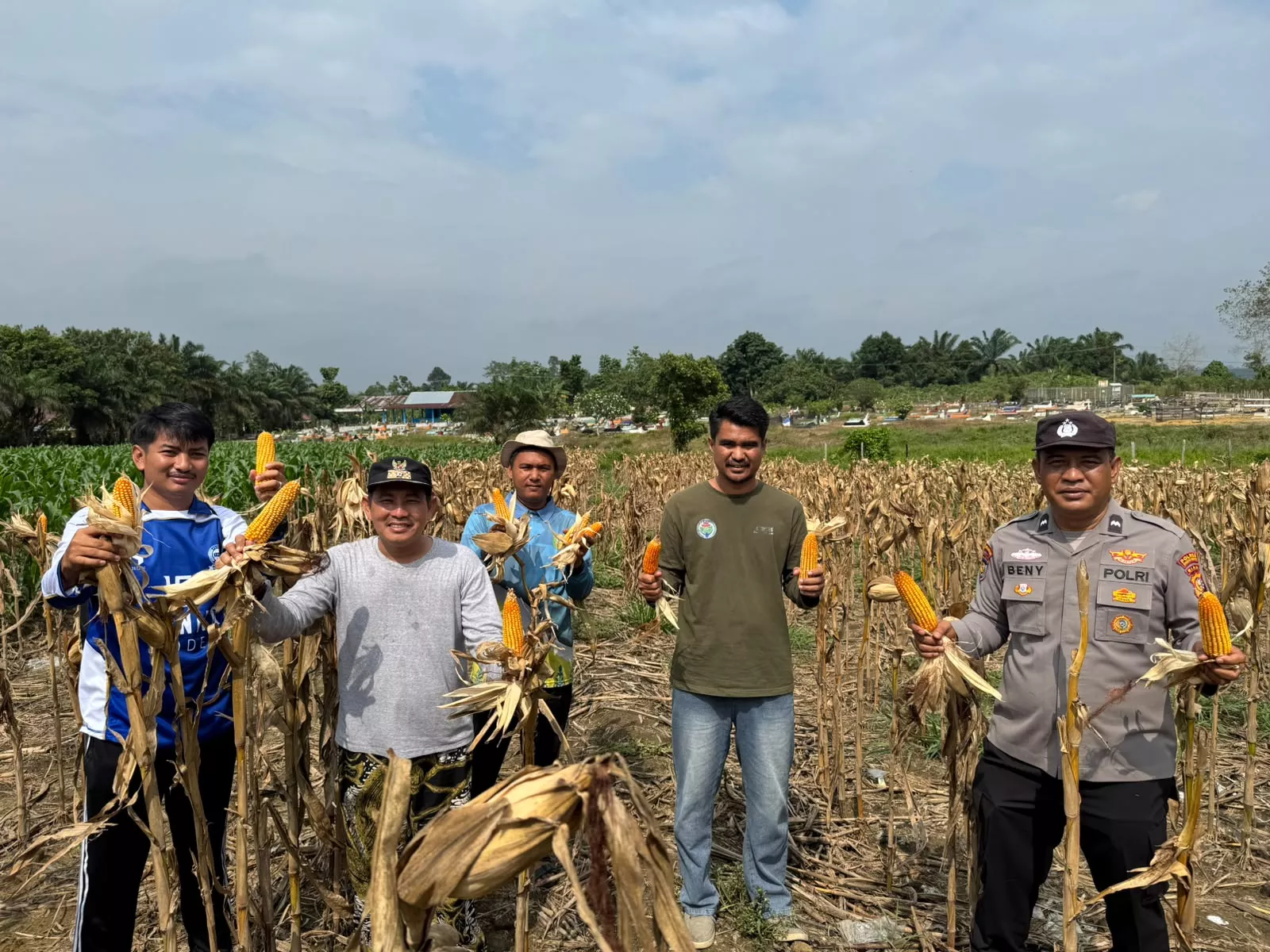 Polres Kuansing Dukung Swasembada Pangan, Panen 500 Kilogram Jagung Pipil di Desa Koto Baru