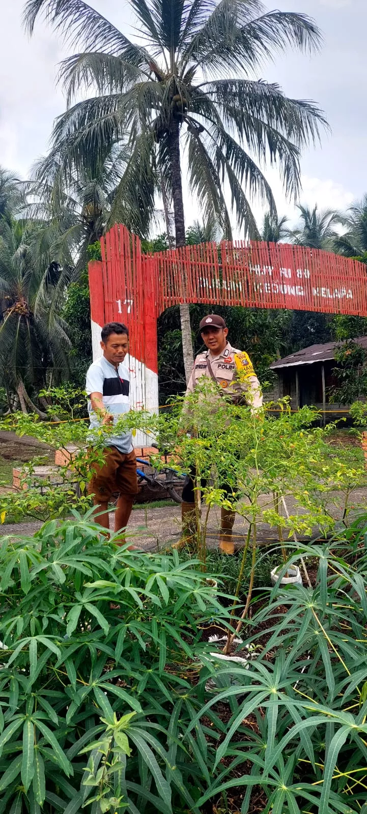 Bhabinkamtibmas Teluk Belengkong Sambangi Kebun Cabai Warga, Wujud Nyata Dukungan Program Asta Cita Ketahanan Pangan Nasional