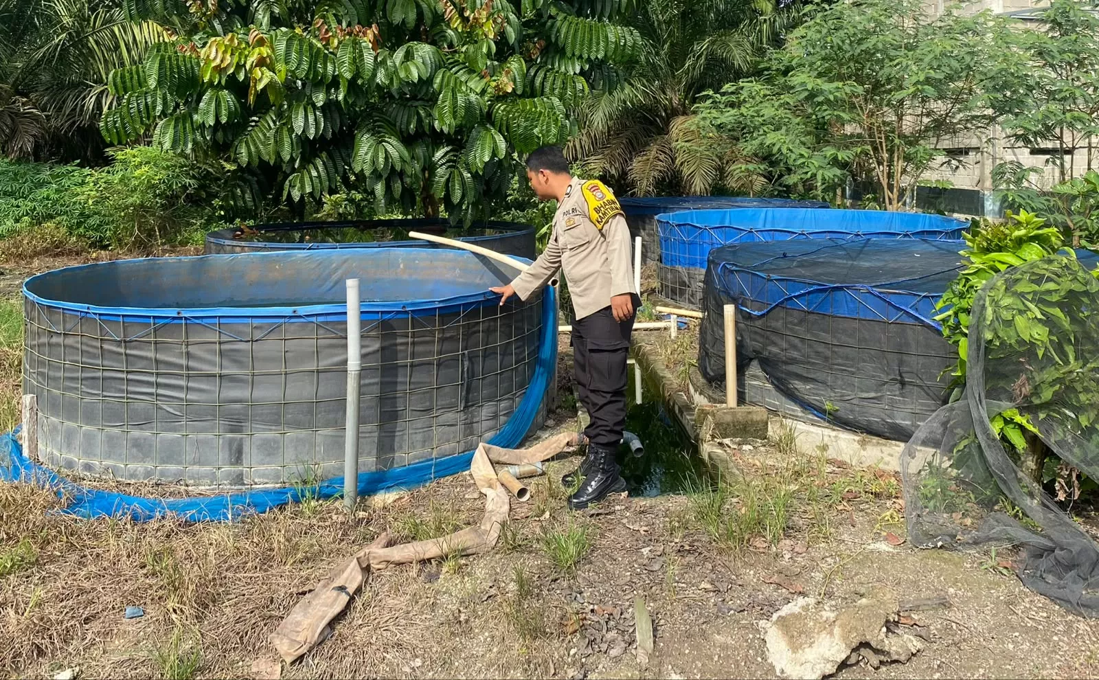  Polisi Tak Hanya Jaga Kamtibmas, Kini Turun Langsung Dukung Ketahanan Pangan Warga di Seberida