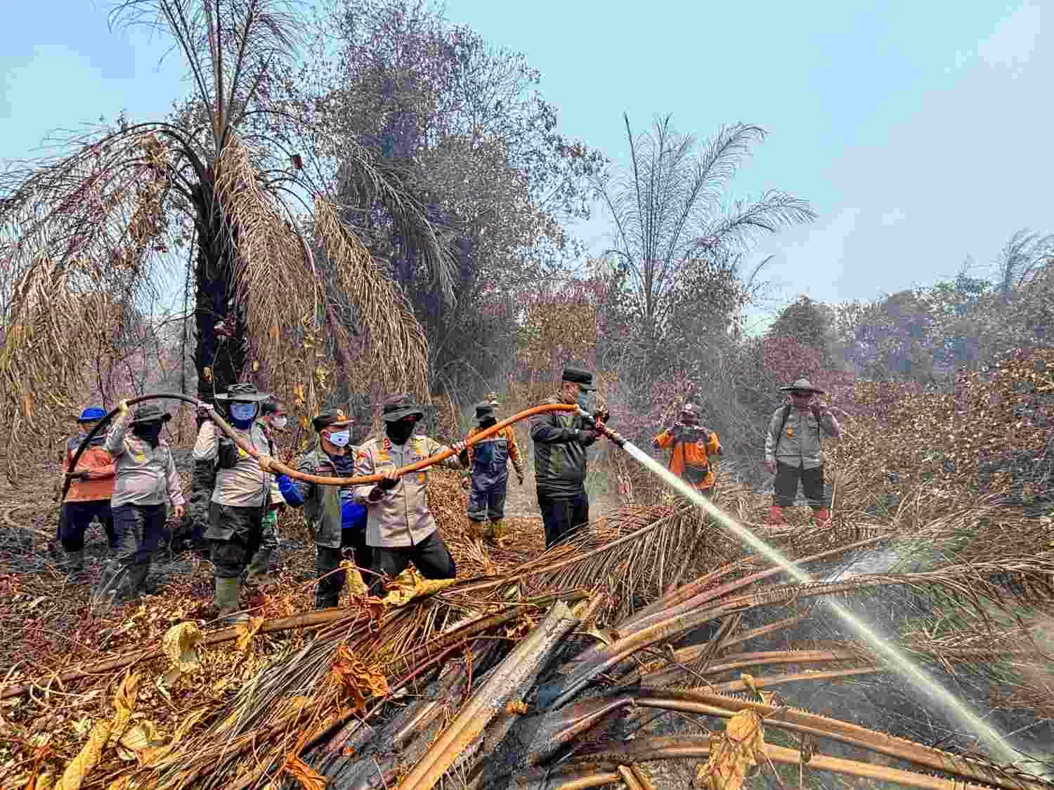 Terjun Langsung  Padamkan Karhutla di Sungai Guntung Hilir, Bupati dan Kapolres Inhu Apresiasi Perjuangan Tim Gabungkan