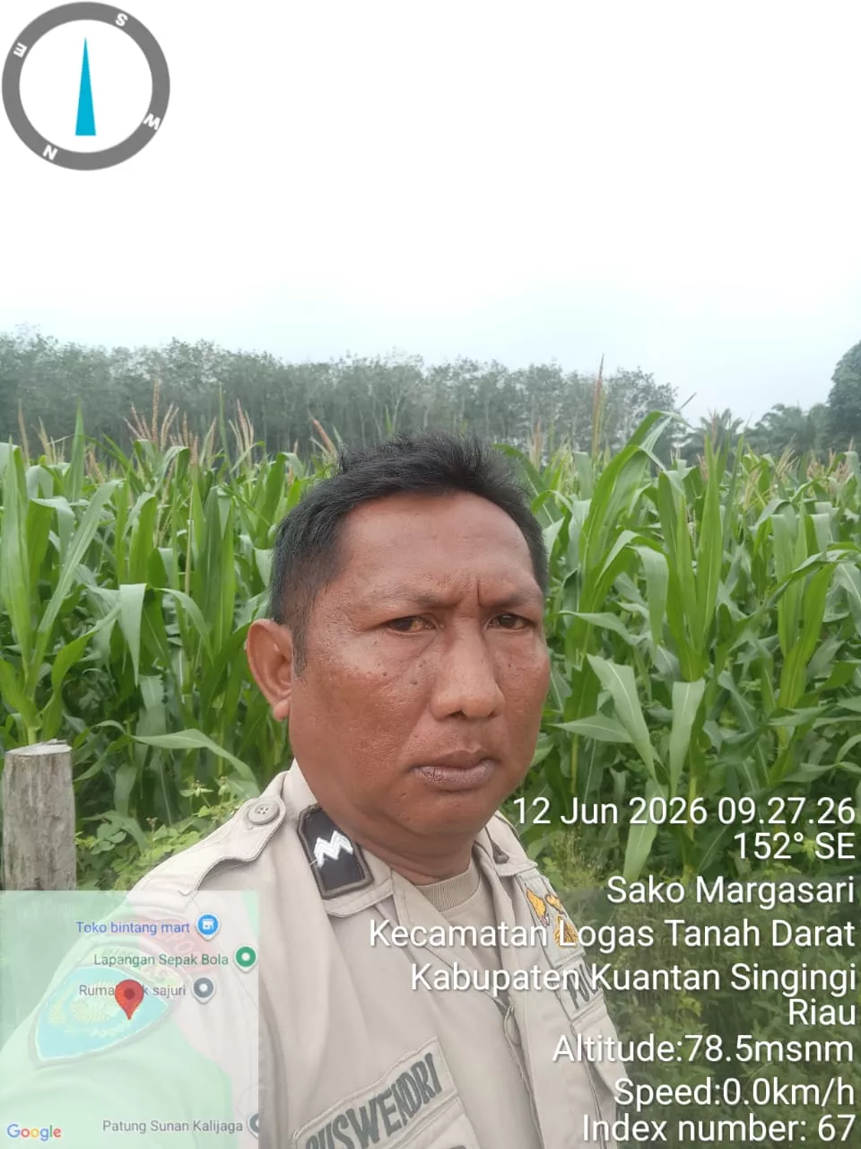 Polsek Logas Tanah Darat Cek Perkembangan Jagung Ketahanan Pangan, Dukung Swasembada Pangan Nasional 2026