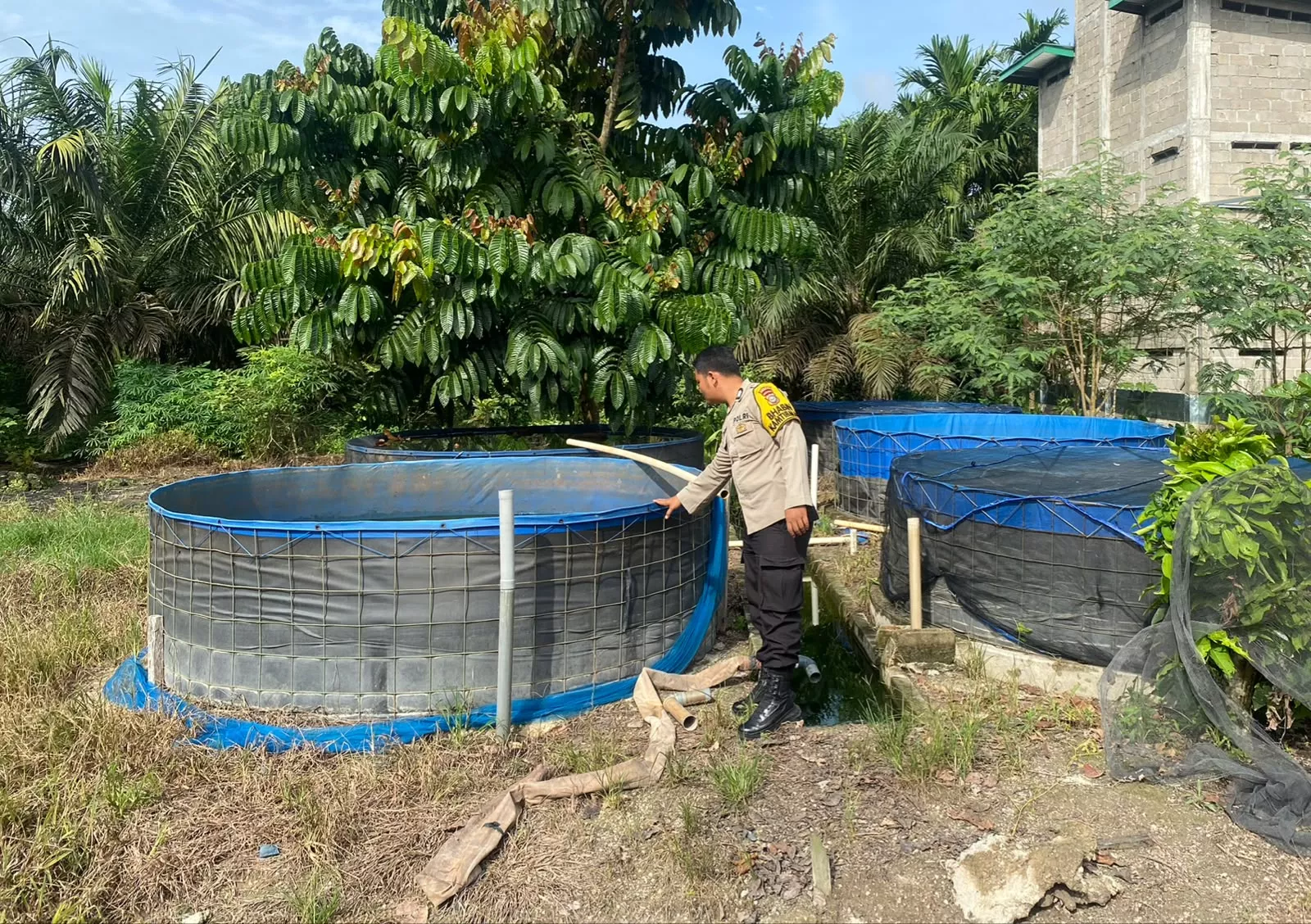 Bhabinkamtibmas Sambangi Kolam Nila Warga, Ketahanan Pangan dari Pekarangan Mulai Menguat di Seberida