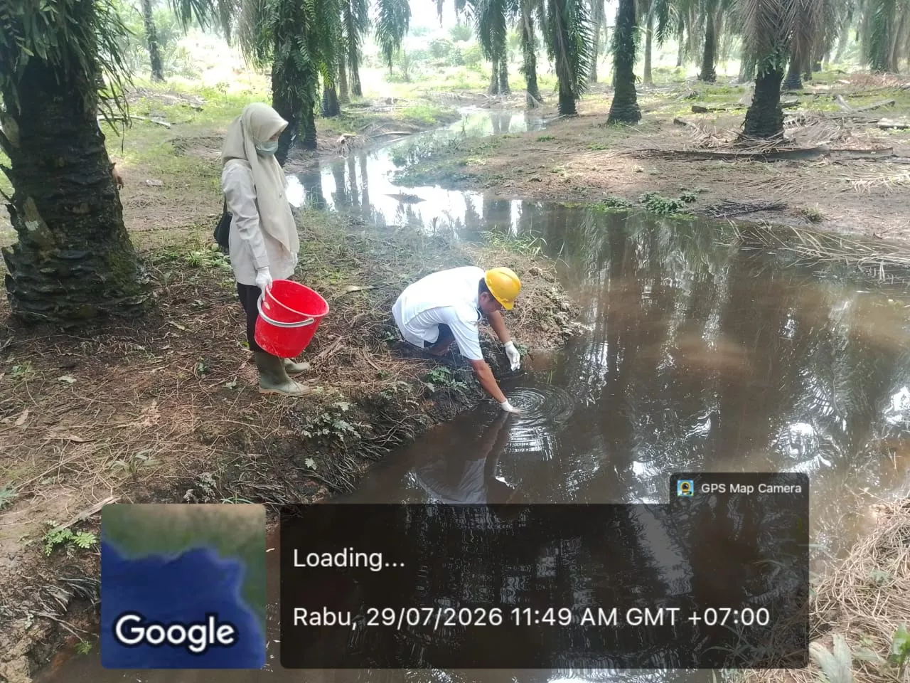 Diduga Cemari Lingkungan, Masyarakat Segera Laporkan PKS PT KSM ke Tipidter Polres Rokan Hulu.