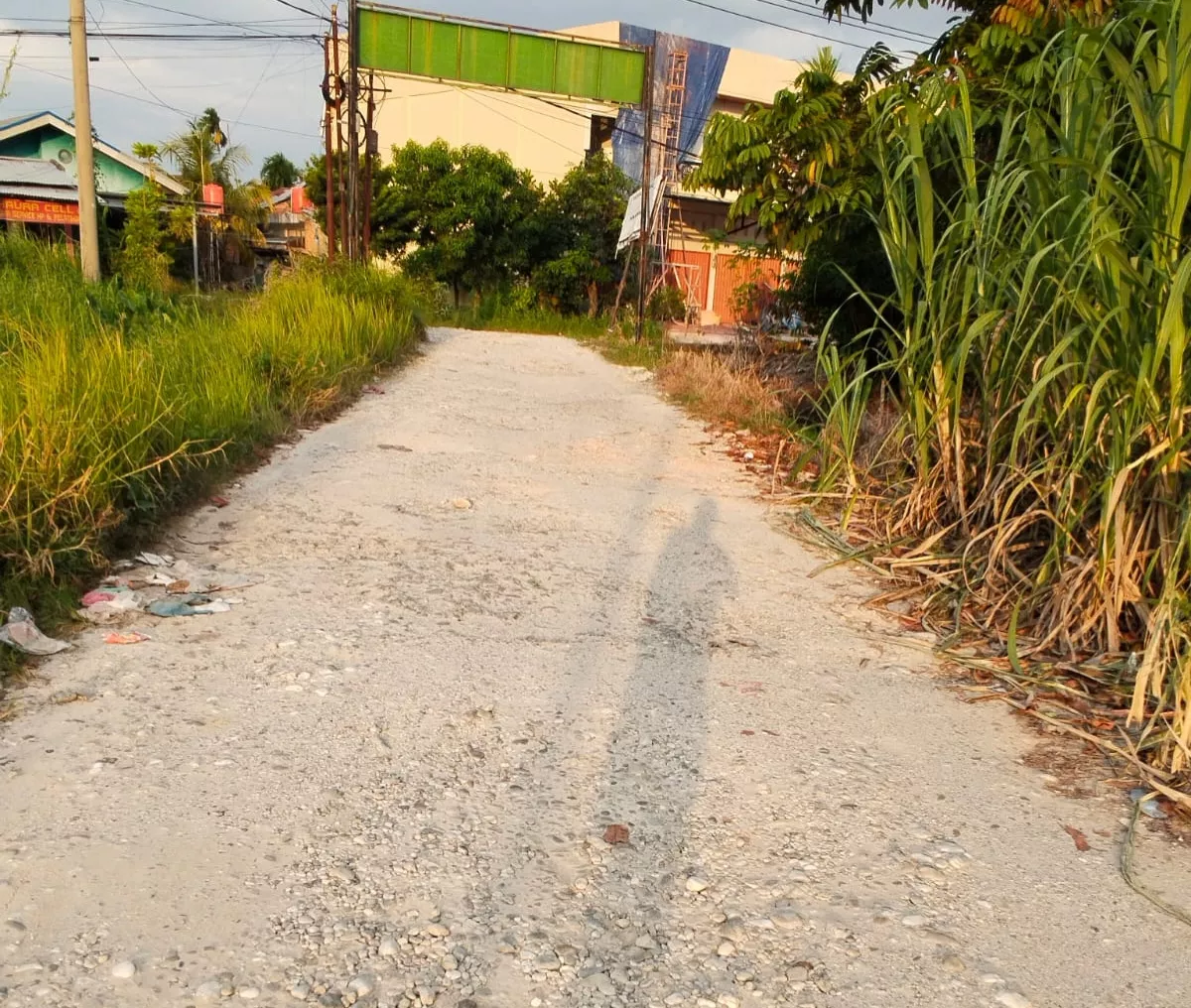Yayasan Masyarakat Peduli Hutan dan Jalan Raya Desak Pemerintah Segera Perbaiki Jalan Gulama/Pias di Pekanbaru