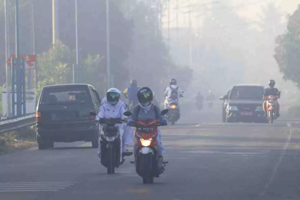 Bupati Siak Minta PKS Hentikan Sementara Pembakaran Jangkos