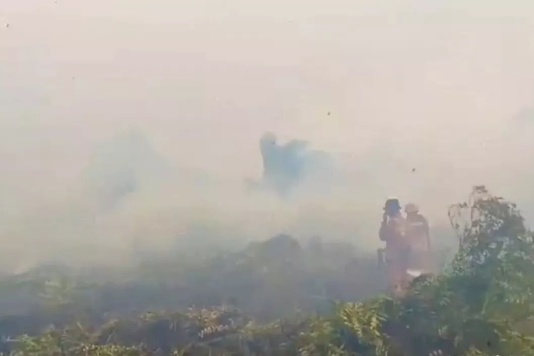 Melawan Angin, Menjinakkan Bara: Detik-Detik Menegangkan di Hutan Pematang Pudu