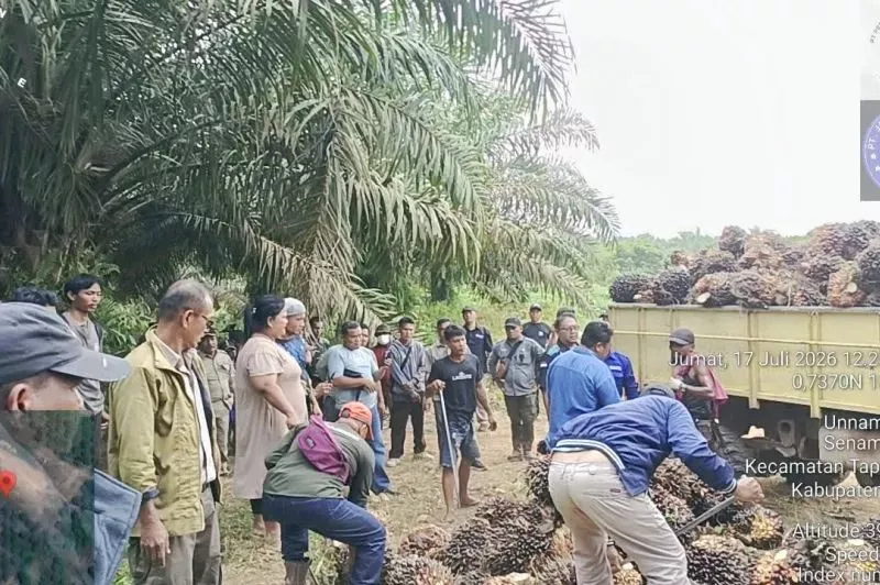 PTPN IV tempuh jalur hukum sikapi aksi pencurian sawit terorganisir di Sei Berlian