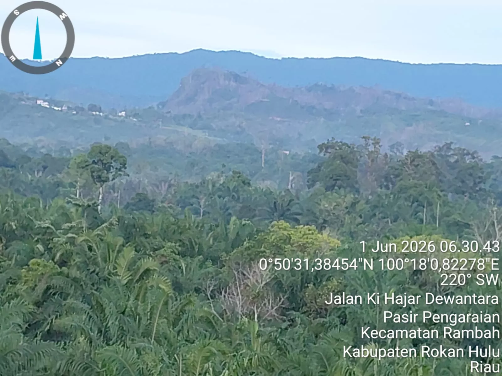 Hutan Tersisa di Rokan Hulu Terancam Dirambah, Aktivis Lingkungan Minta Penegakan Hukum dan Evaluasi KPH