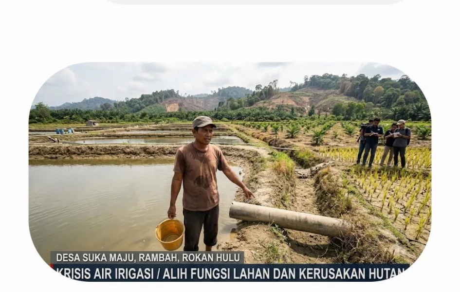 Petani Kolam Ikan Mengaku Jadi Kambing Hitam Krisis Air Irigasi, Aktivis Desak Pemerintah Usut Dugaan Kerusakan Kawasan Hutan. 