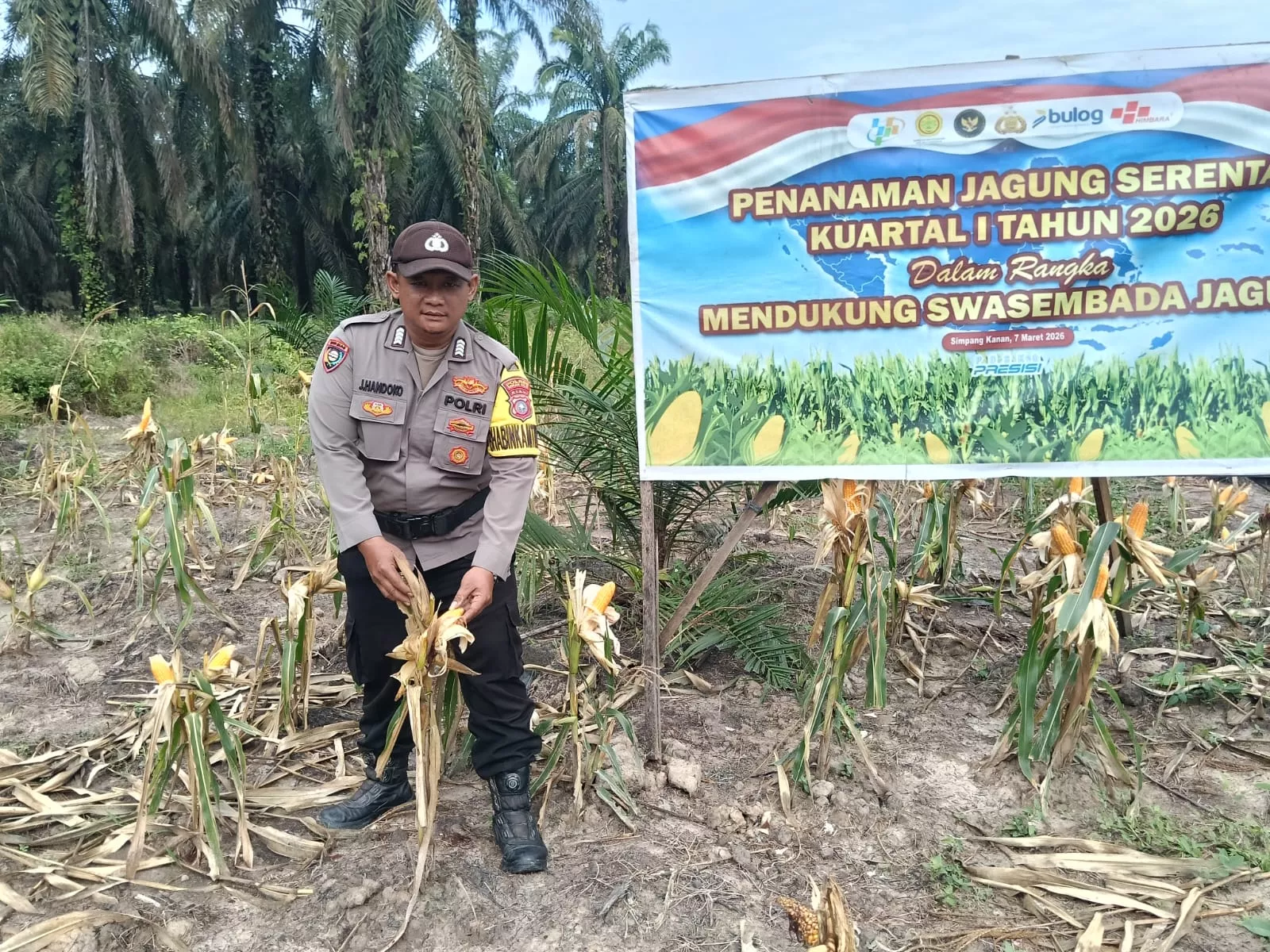 Polsek Simpang Kanan Sosialisasikan Program Green Policing Melalui Penanaman Bibit Pohon di Pekarangan Warga