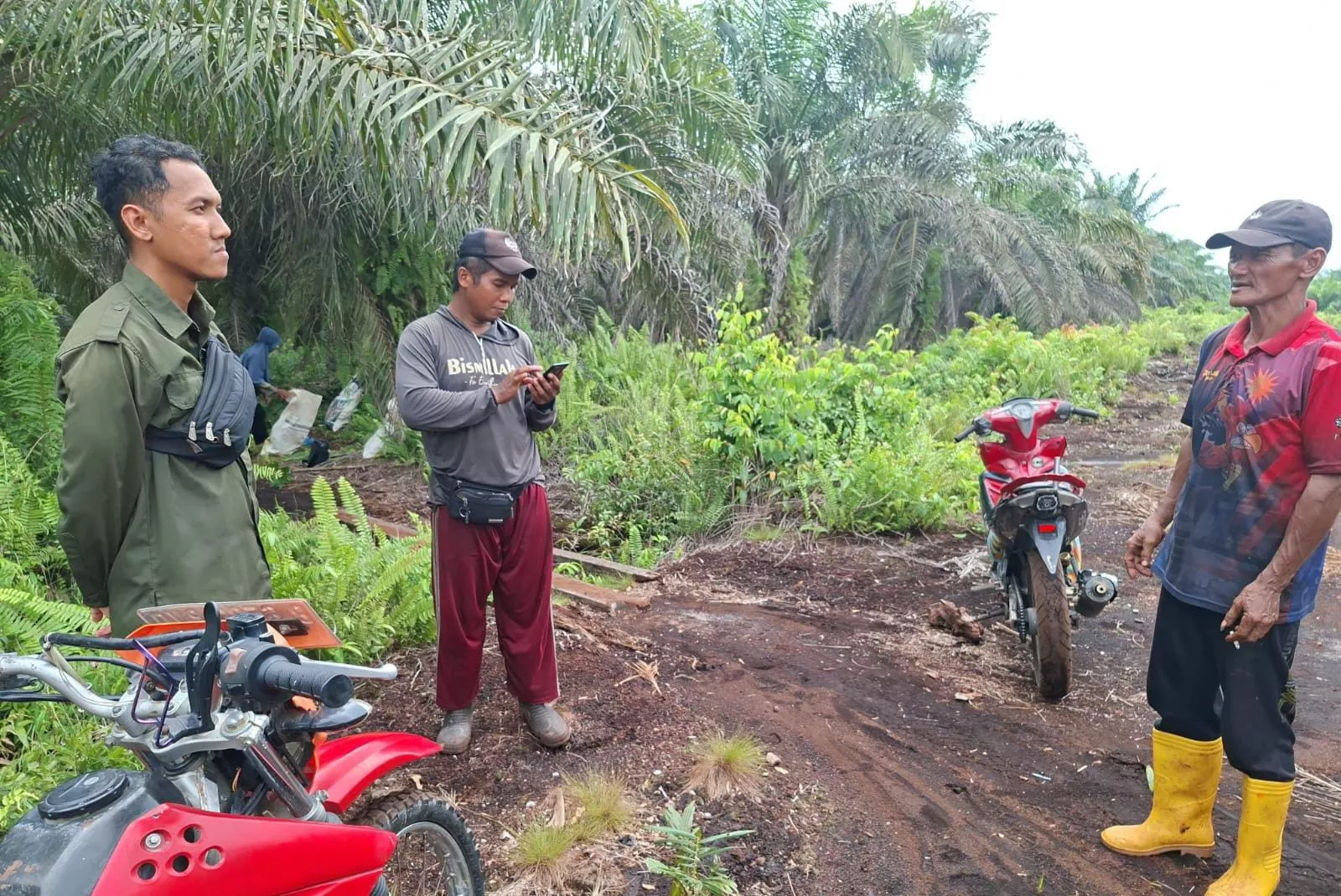 Harimau Sumatera Tiba-Tiba Lompat ke Atas Motor Pekerja Sawit di Mengkapan Siak