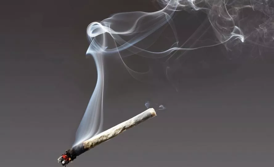 Tak Hisap Ganja Tapi Terpapar dan Positif, Ternyata Ini Penyebabnya