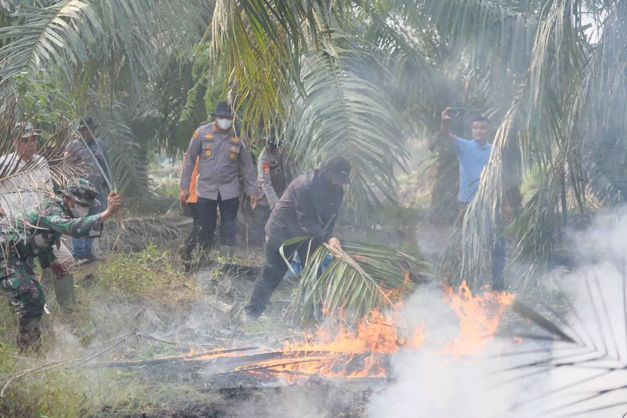 Turun ke Gambut Cagar Biosfer, Bupati Afni Padamkan Bara Api Pakai Pelepah Sawit