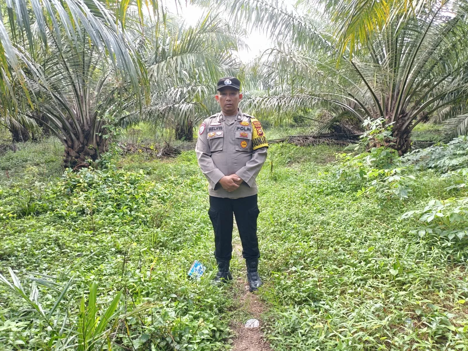 Masuki Musim Kemarau, Polsek Pujud Ingatkan Warga Jangan Bakar Lahan, Pelaku Terancam Sanksi Hukum