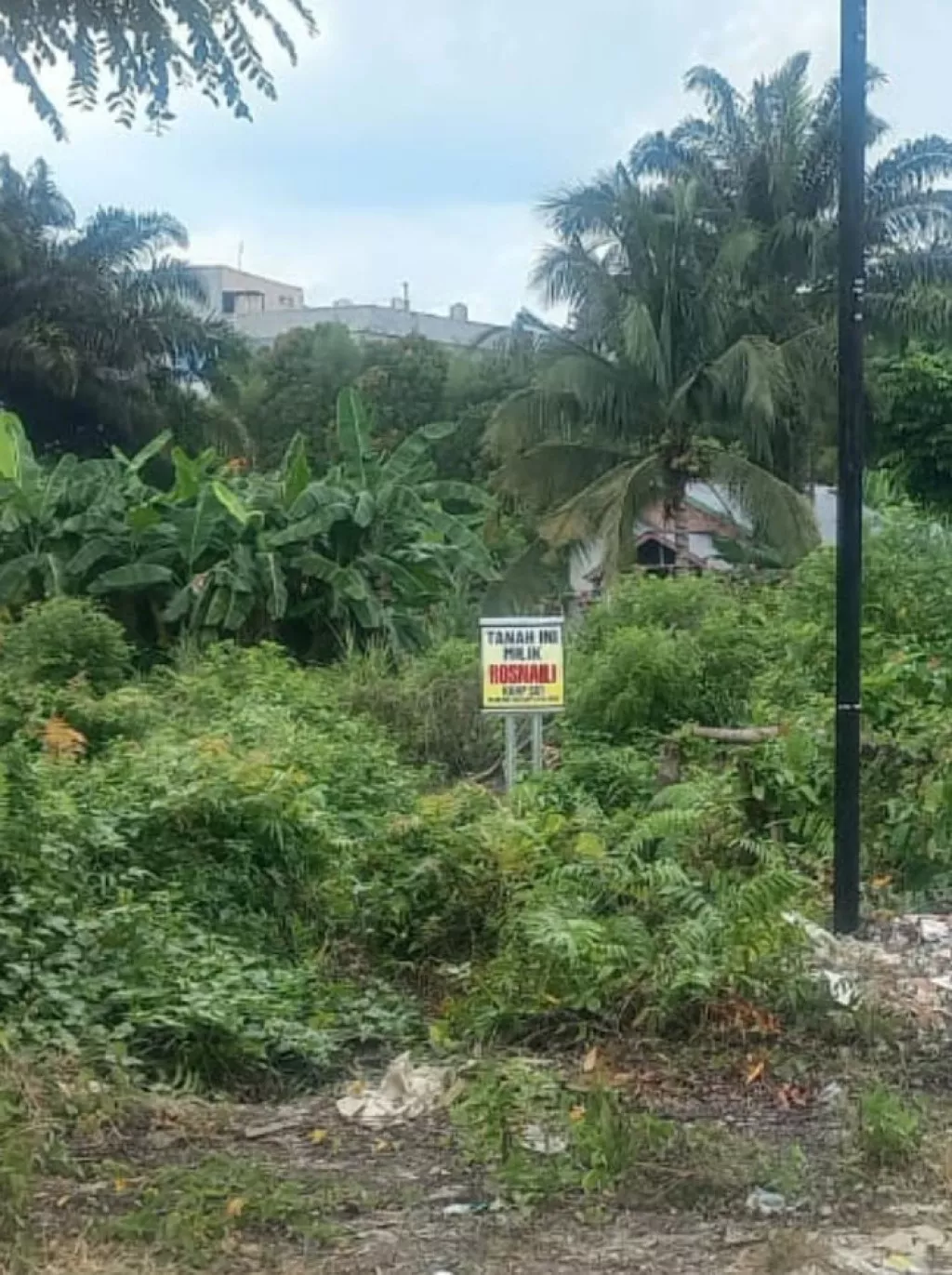 Lurah Tuah Karya Dinilai Ingkar Janji Mediasi Sengketa Lahan