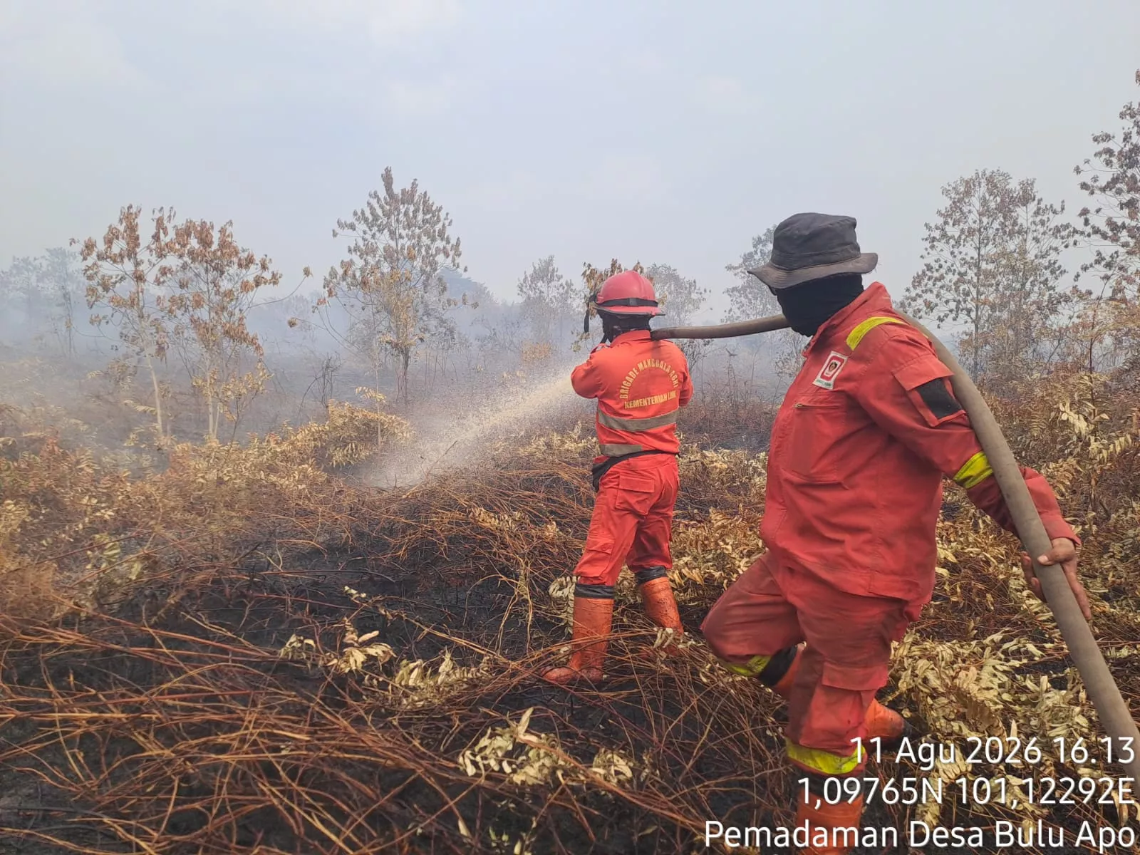 Karhutla Bengkalis: Pematang Pudu Mulai Aman, Tim Fokus Jinakkan Api di Buluh Apo