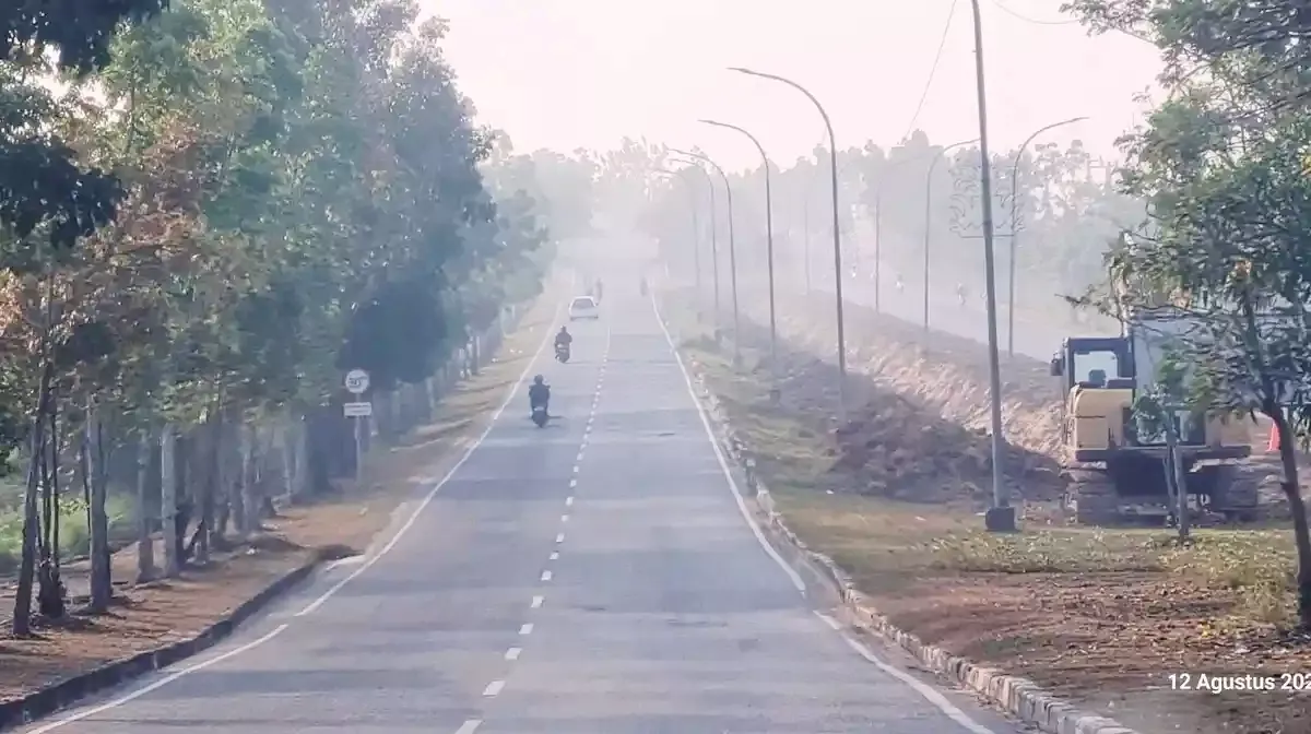Asap dari Pelalawan Berpotensi Terbawa Angin ke Pekanbaru, BMKG Ungkap Penyebab Udara Kabur Pagi Ini