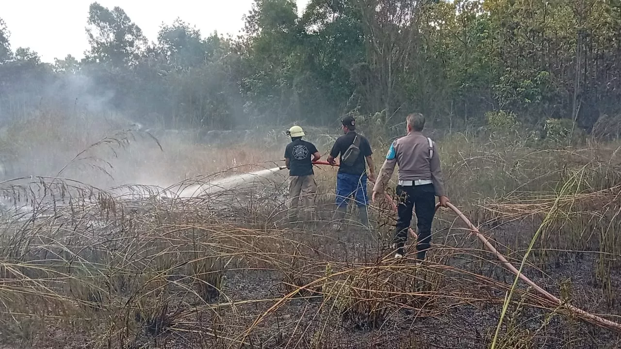 Lahan di Depan Mall SKA Terbakar, BPBD Pekanbaru Turunkan Tiga Armada