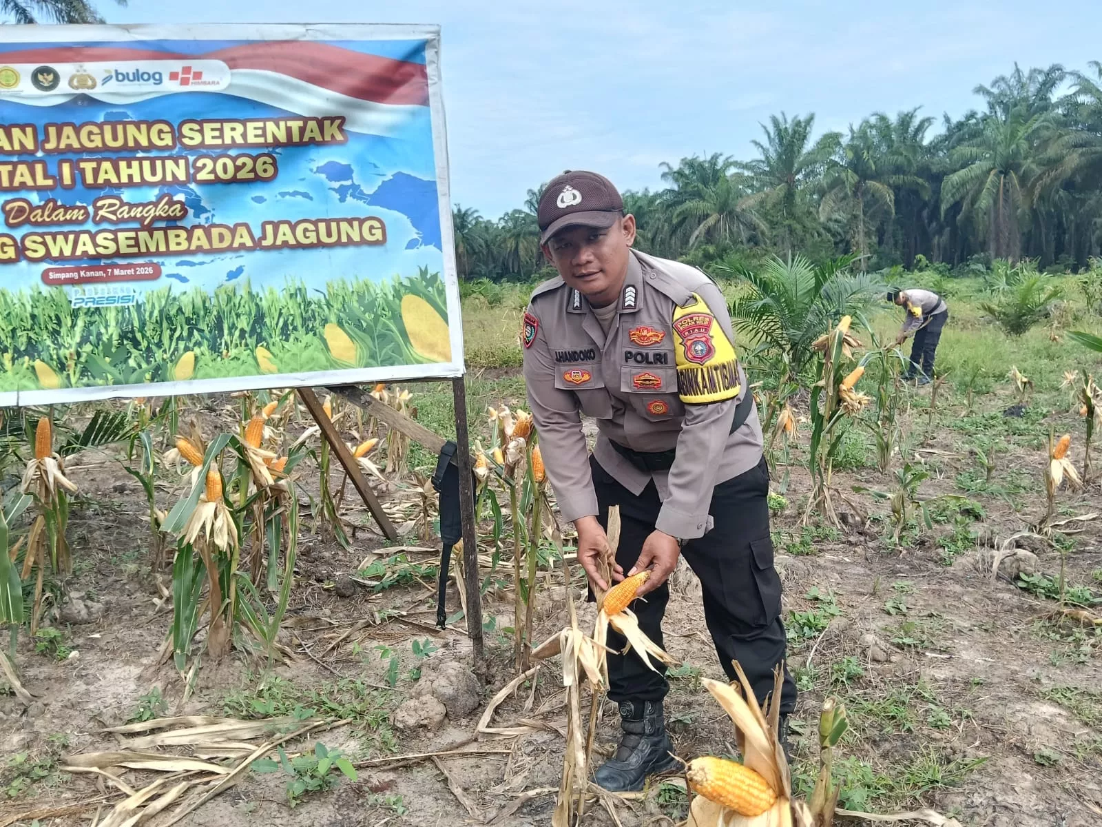 Bhabinkamtibmas  Simpang Kanan laksanakan  perkembangan ketahanan pangan jagung.