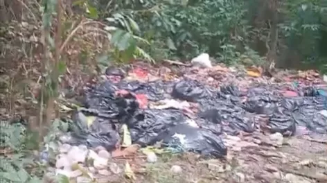 Limbah Dapur MBG di Kabangka Muna Diduga Dibuang ke Hutan, Warga Keluhkan Bau Menyengat