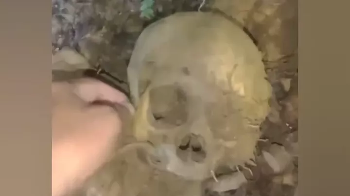 Geger! Penemuan Tengkorak di Hutan Amamotu Kolaka, Diduga Warga yang Hilang Setahun