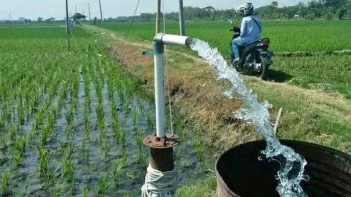 Dukung Ketahanan Pangan, Petani Padaleu Kendari Minta Sarana Sumur Bor untuk Atasi Keterbatasan Air