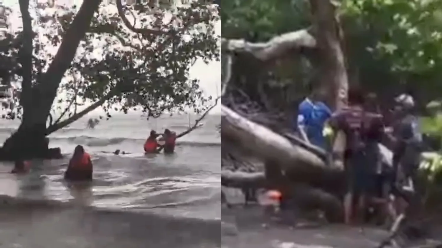 Kapal Penumpang Karam di Perairan Maligano Muna, Penumpang Bertahan di Hutan Bakau