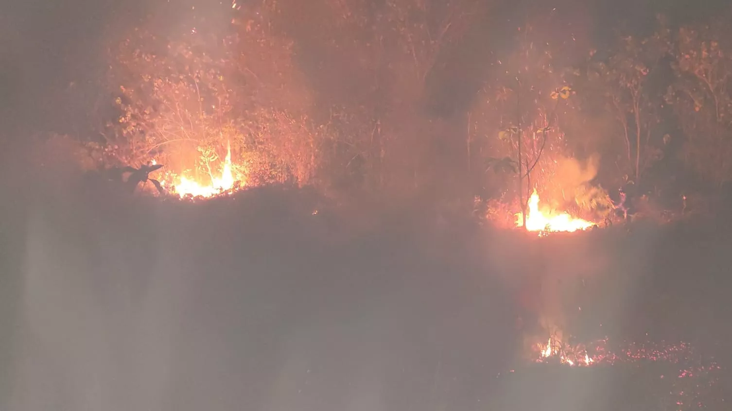 Kebakaran Lahan di Kendari, Api Menjalar dari Punggolaka ke Lalodati