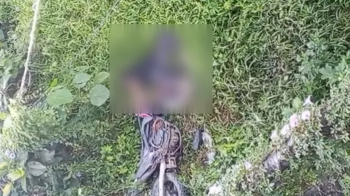 Diduga Alami Kecelakaan Tunggal, Mahasiswa di Kendari Ditemukan Tewas di Bawah Jembatan