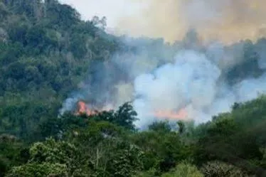 Hotspot Sumatra Tembus 1.339 Titik, Riau Tertinggi Kedua dengan 174 Titik Panas