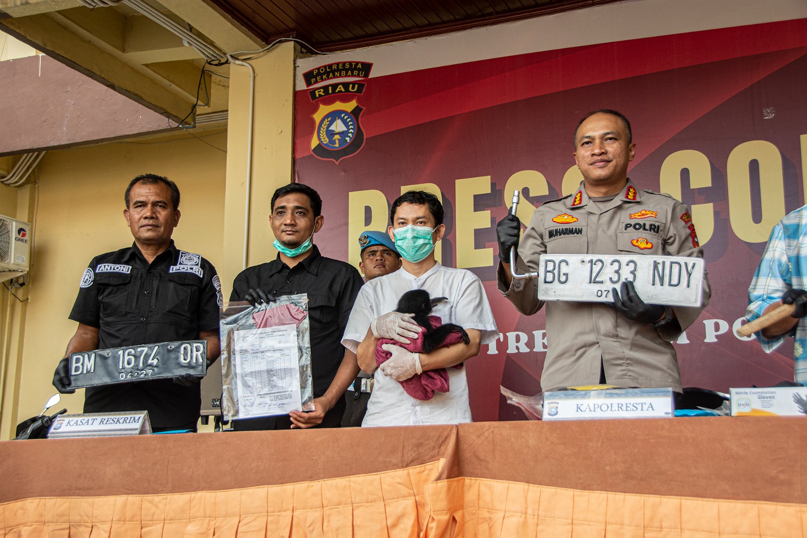 Polresta Pekanbaru Bongkar Perdagangan Satwa Langka, Anak Siamang Diselamatkan