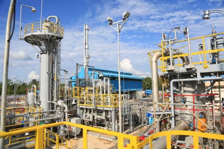 Hijaukan Tahura Sultan Thaha, Pertamina EP Tanam 200 Pohon di Batanghari