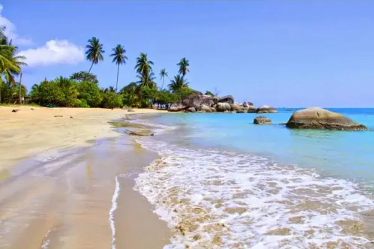 Menjelajahi Pulau Jemur, Destinasi Bahari Sepi di Rokan Hilir