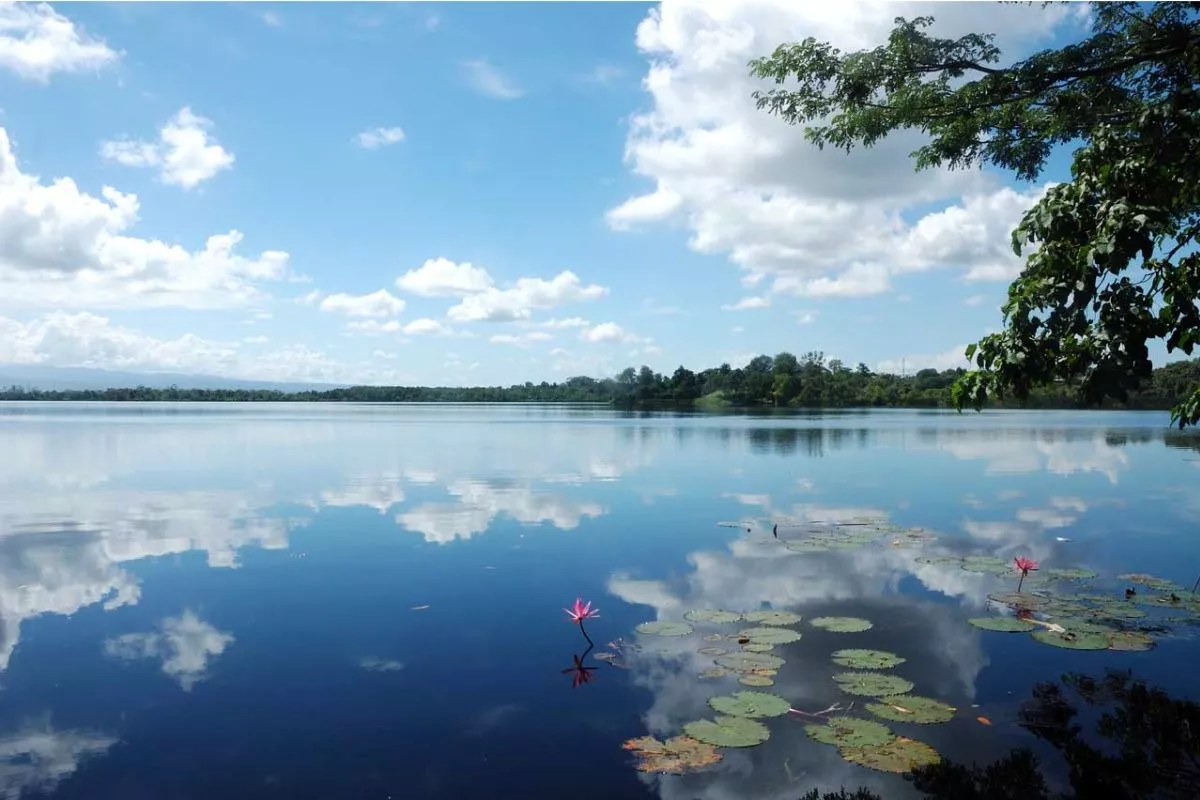 Danau Dendam Tak Sudah, Habitat Asli Bunga Rafflesia di Tengah Kota Bengkulu