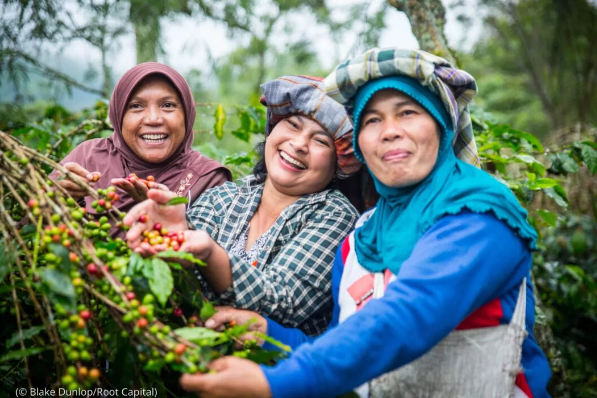Panduan Lengkap Cara Daftar Bantuan Petani Kopi Sumbar untuk Petani Lokal