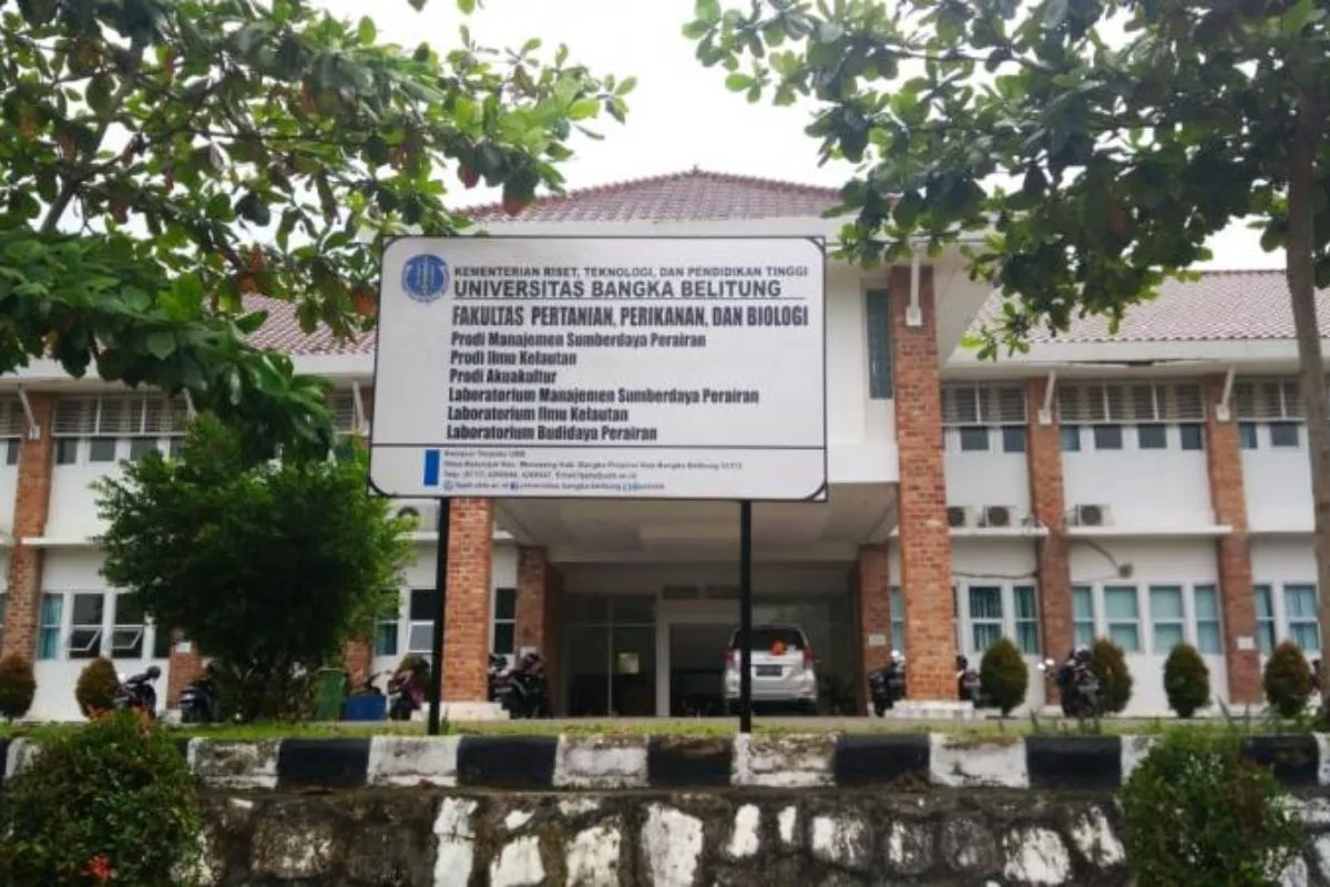 Universitas Terbaik di Bangka Belitung untuk Pilihan Kuliah