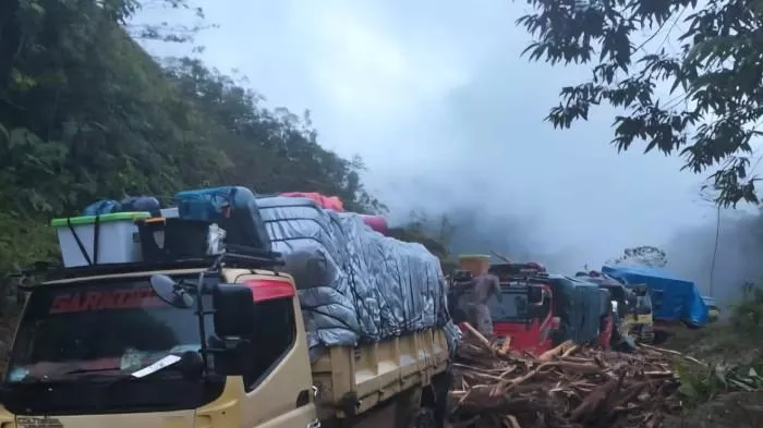 Trans Papua Lumpuh Total: Puluhan Kendaraan Tertimbun Longsor di Yalimo, Evakuasi Terkendala Cuaca
