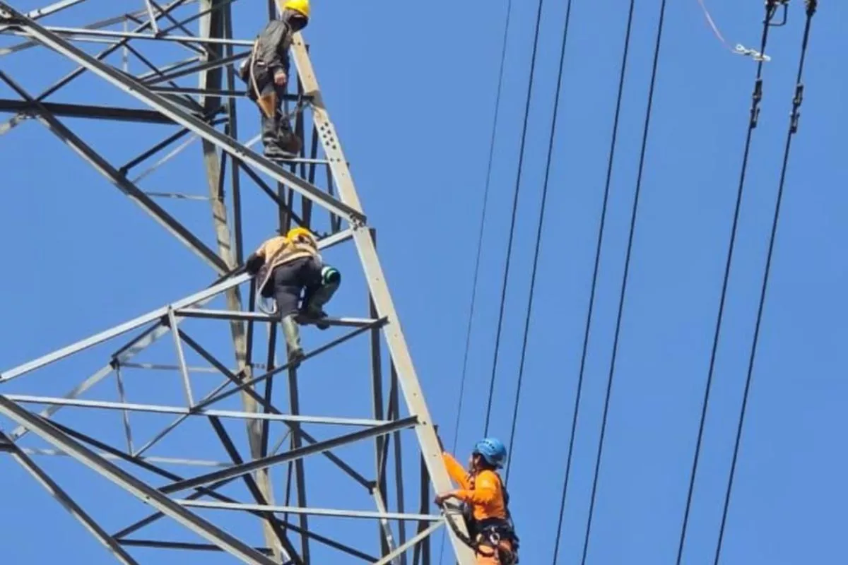 Pengamat Unpad: Program LUTD PLN Jabar Perlu Mendorong Ekonomi Warga 
