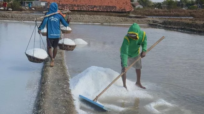 Hilirisasi Limbah Kilang: PT Garam Kucurkan Rp7 Triliun Bangun Pabrik di Balikpapan
