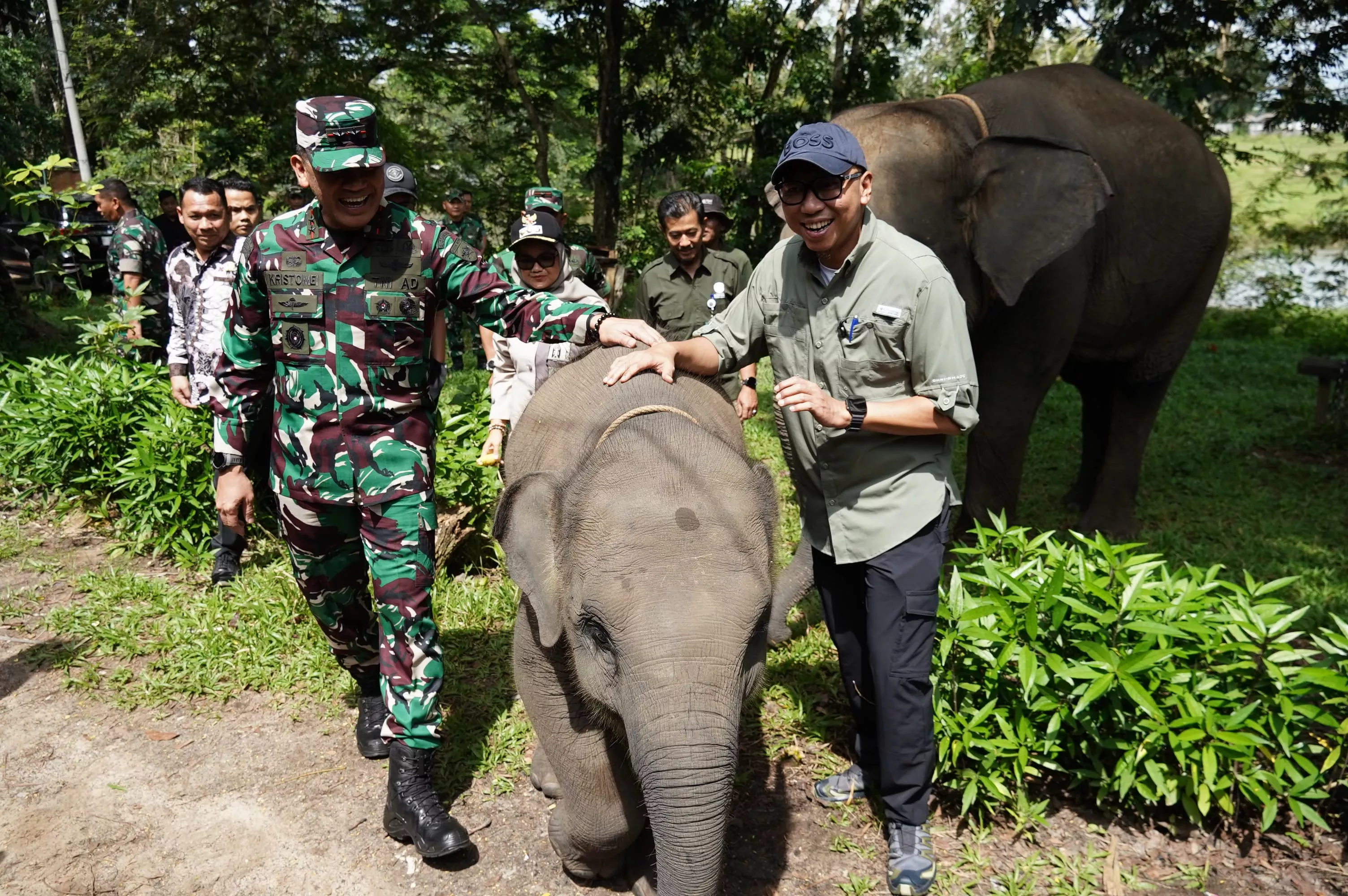 Konflik Gajah dan Warga Lampung Timur Memanas, TNI Turun Tangan Jaga Desa Penyangga
