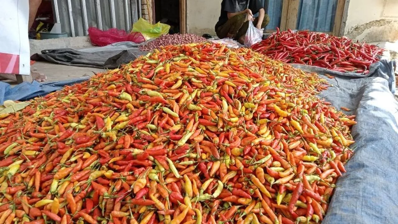 Lonjakan Harga Cabai Rawit Warnai Pergerakan Sembako Jawa Tengah Hari Ini